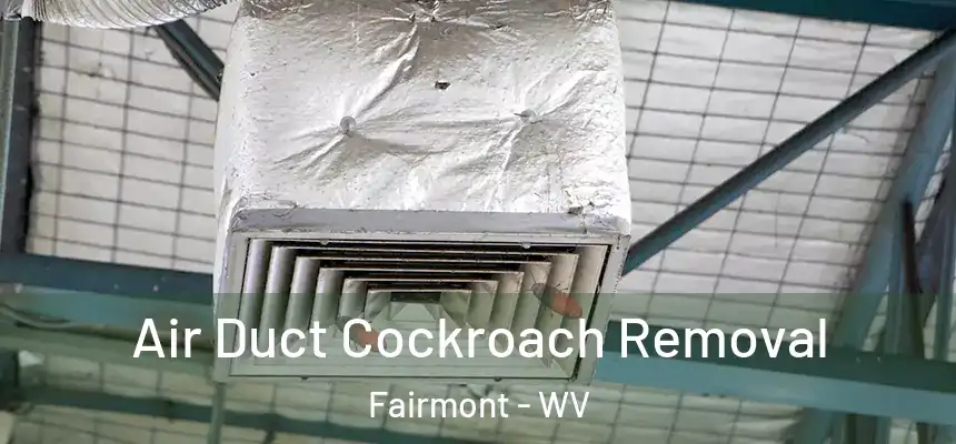  Air Duct Cockroach Removal Fairmont - WV