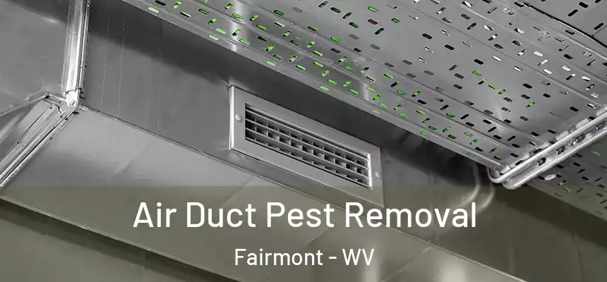  Air Duct Pest Removal Fairmont - WV