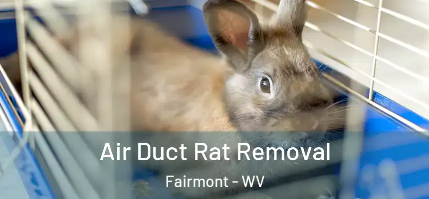  Air Duct Rat Removal Fairmont - WV