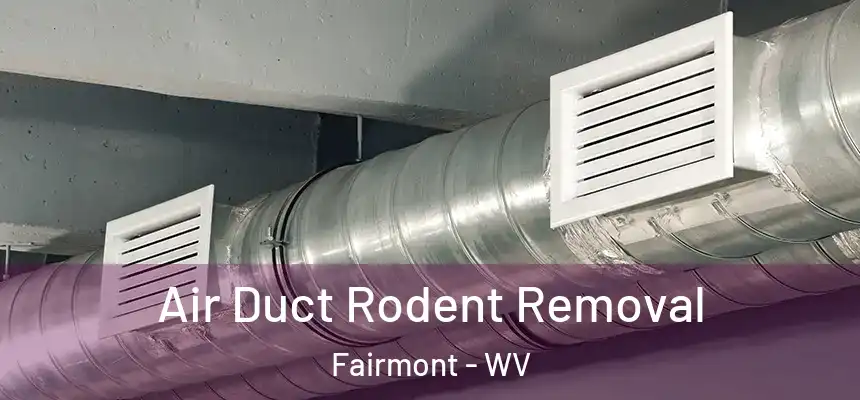  Air Duct Rodent Removal Fairmont - WV