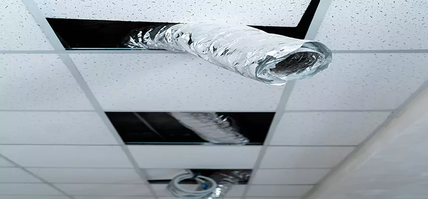 Affordable HVAC Sanitizing After Pest Removal in Fairmont