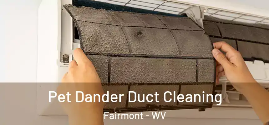  Pet Dander Duct Cleaning Fairmont - WV