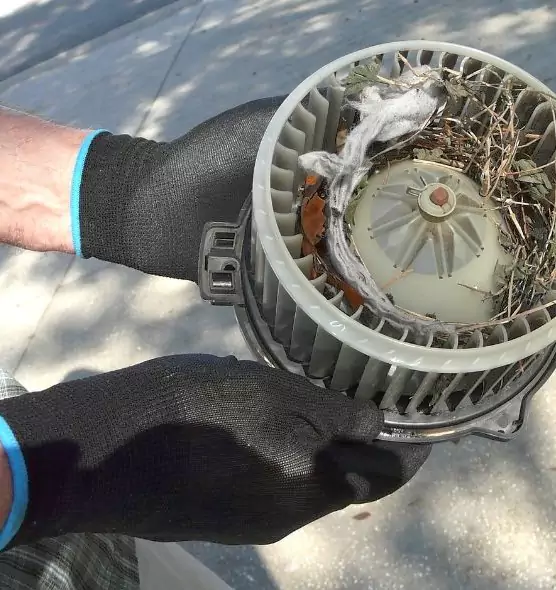 About Air Duct Mice Removal in Fairmont, WV