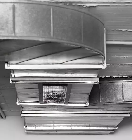 Professional Air Duct Pest Removal in Fairmont, WV