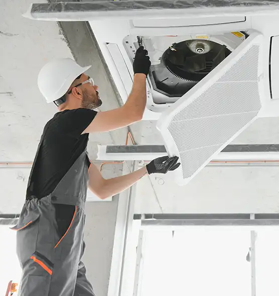 About Air Duct Rodent Removal in Fairmont, WV