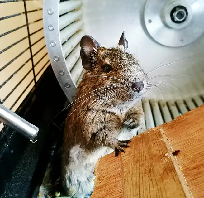 Why Homeowners & Businesses Trust Us Fairmont, WV?